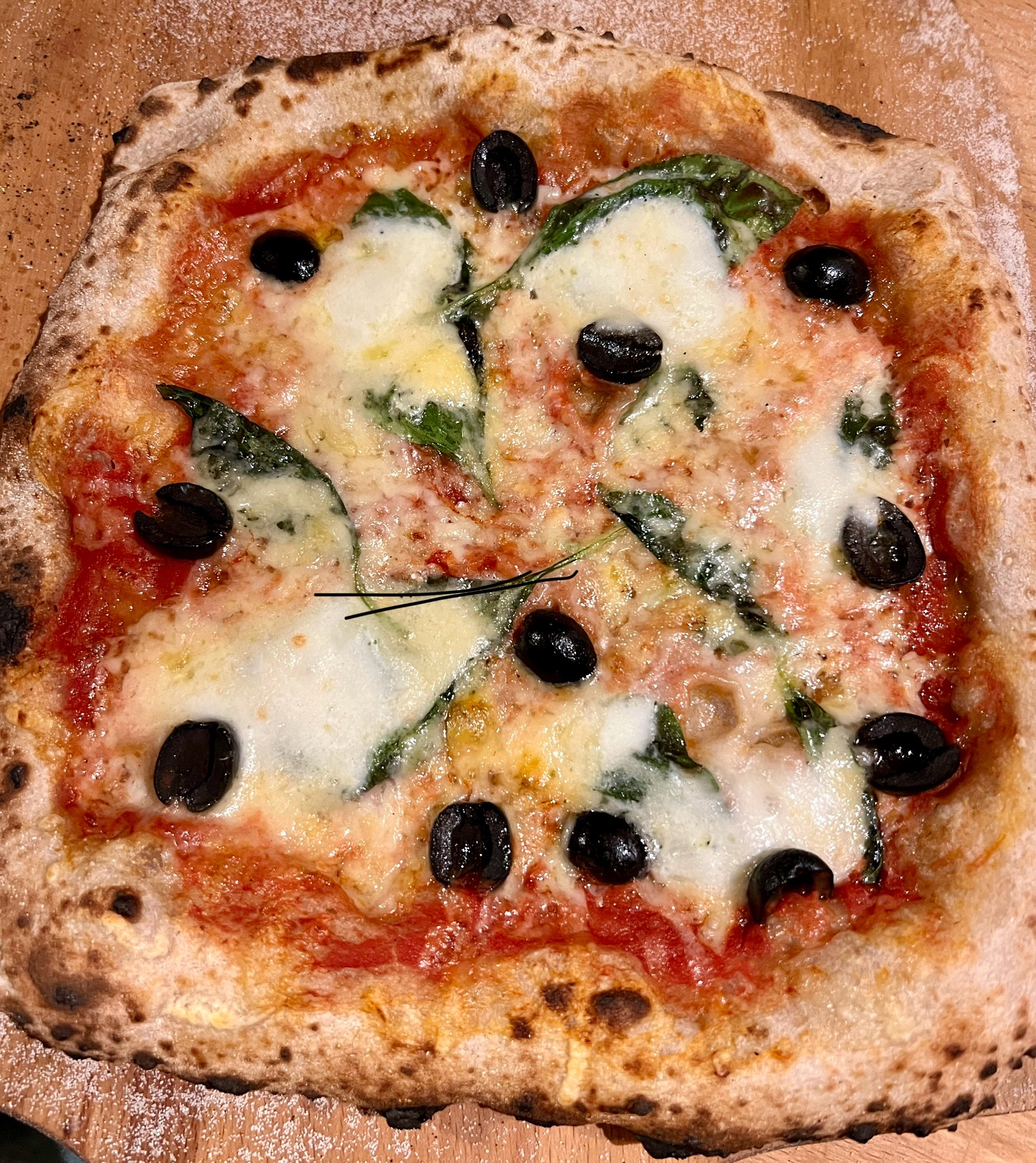 sourdough margherita pizza with olives